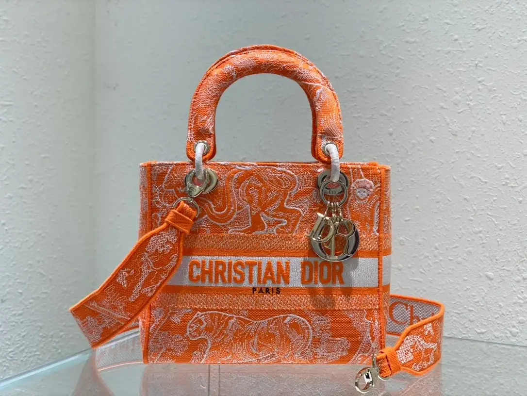 CD Medium Lady D Lite Bag - image 13