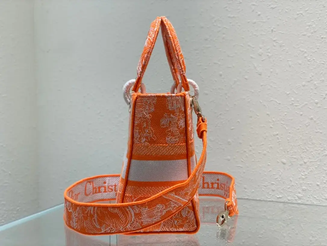 CD Medium Lady D Lite Bag - image 14