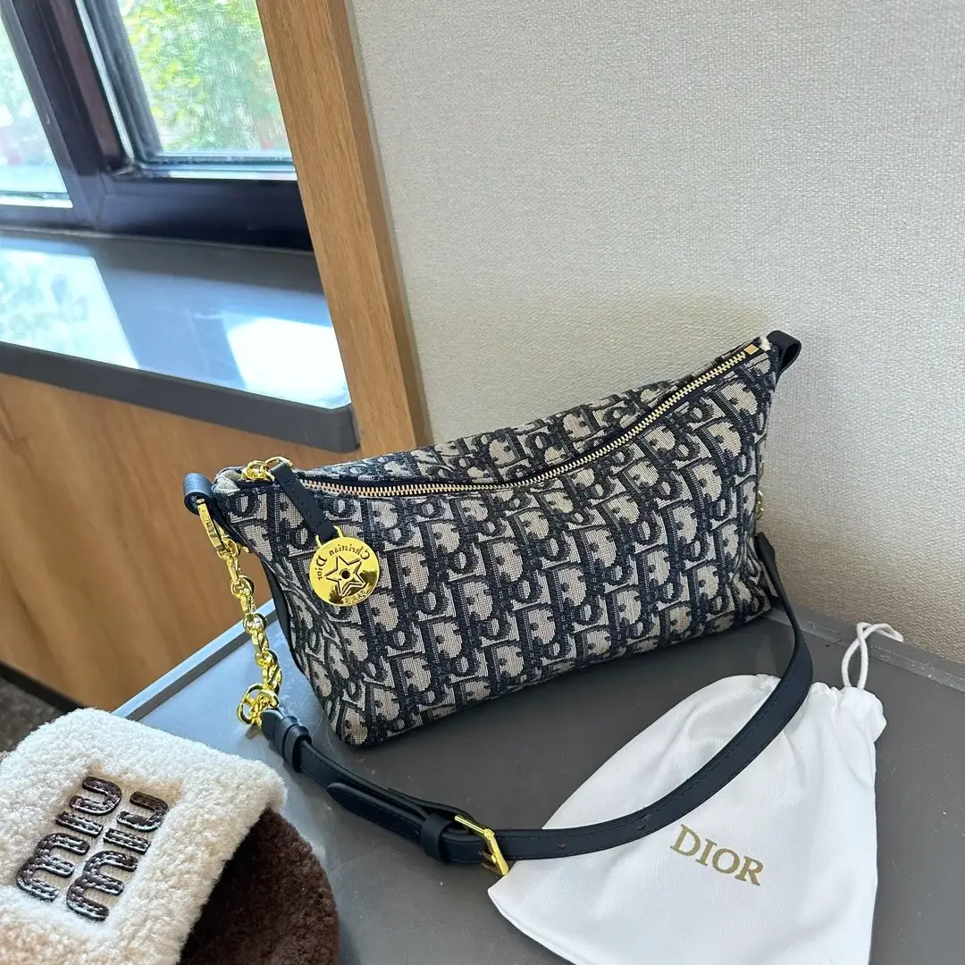 D new arrival hobo bag size:23 cm - image 7