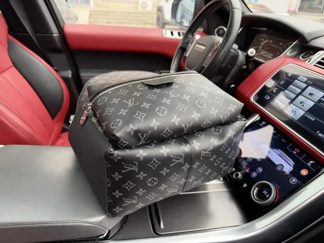 Louis new arrival Discovery men backpack bag size：31*41*17 cm - View 4