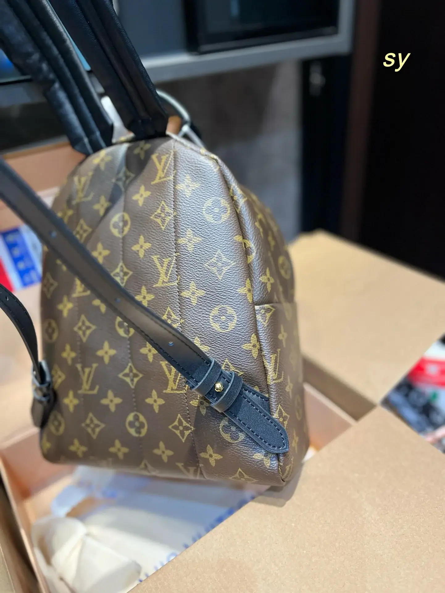 Louis new arrival palm springs mini backpack size: 23*27cm - image 6