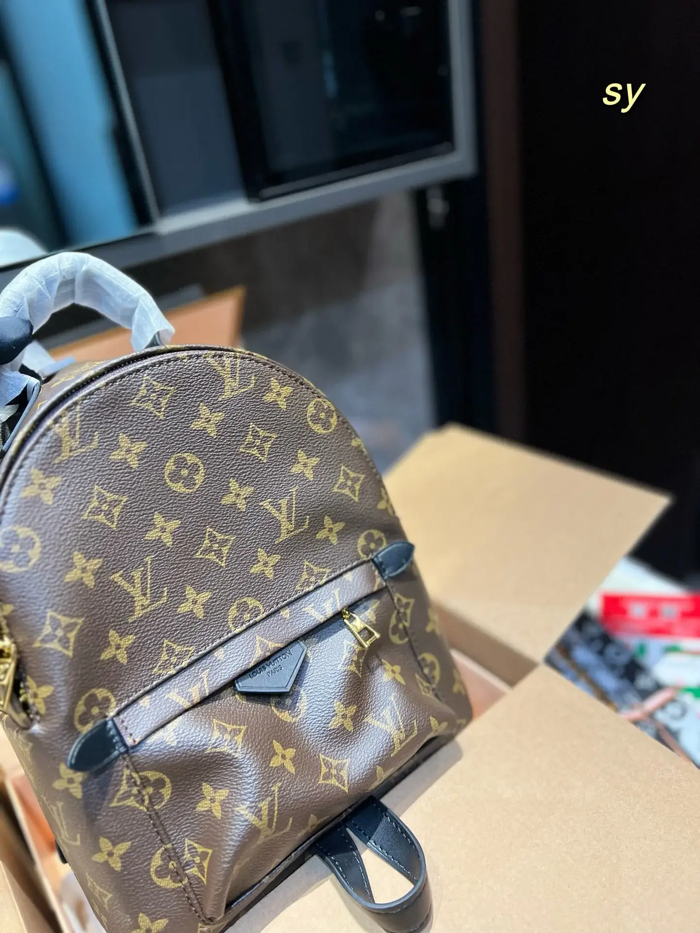 Louis new arrival palm springs mini backpack size: 23*27cm - image 9