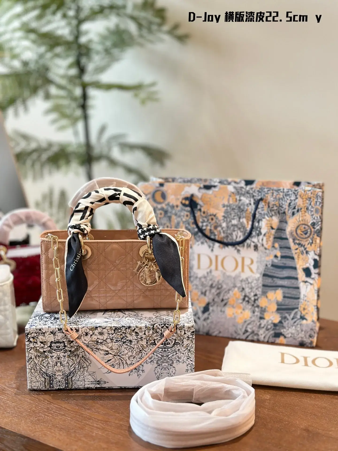 Cruise 2024Mirco lady D~Joy size: 22.5*14 cm - image 6