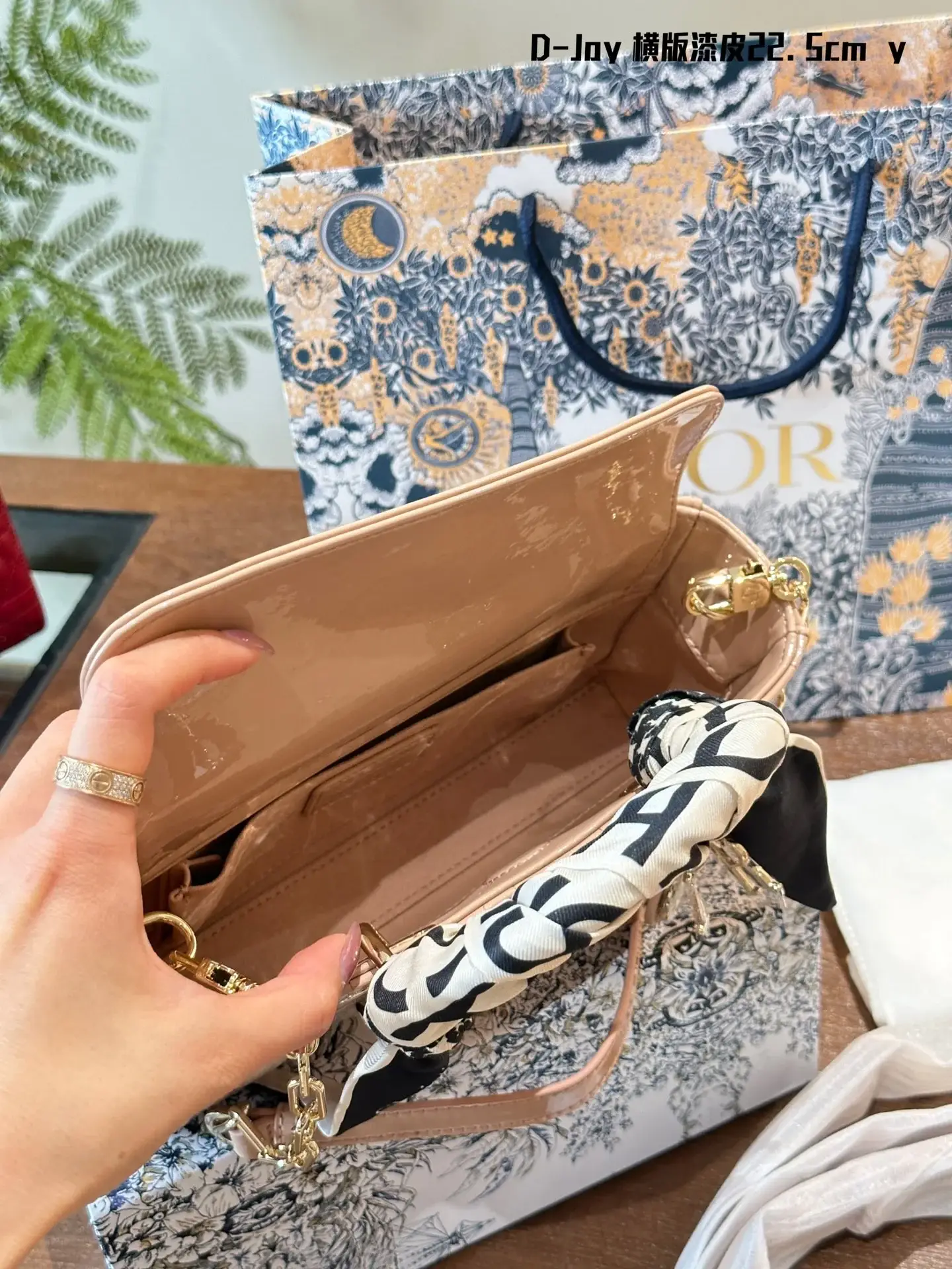 Cruise 2024Mirco lady D~Joy size: 22.5*14 cm - image 7