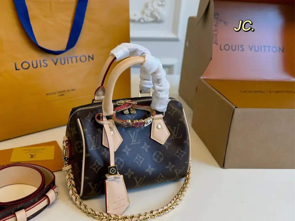 Louis new arrival speedy bag size: 20*15 cm - image 1