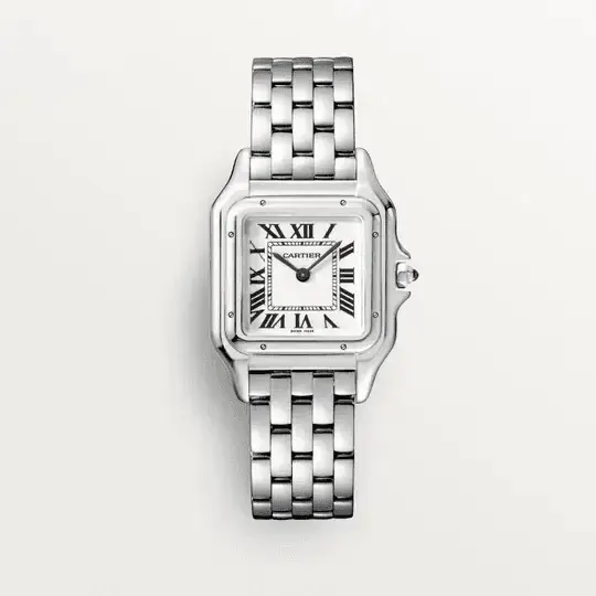 PANTHèRE DE CAR CHEETAH WATCH - image 1